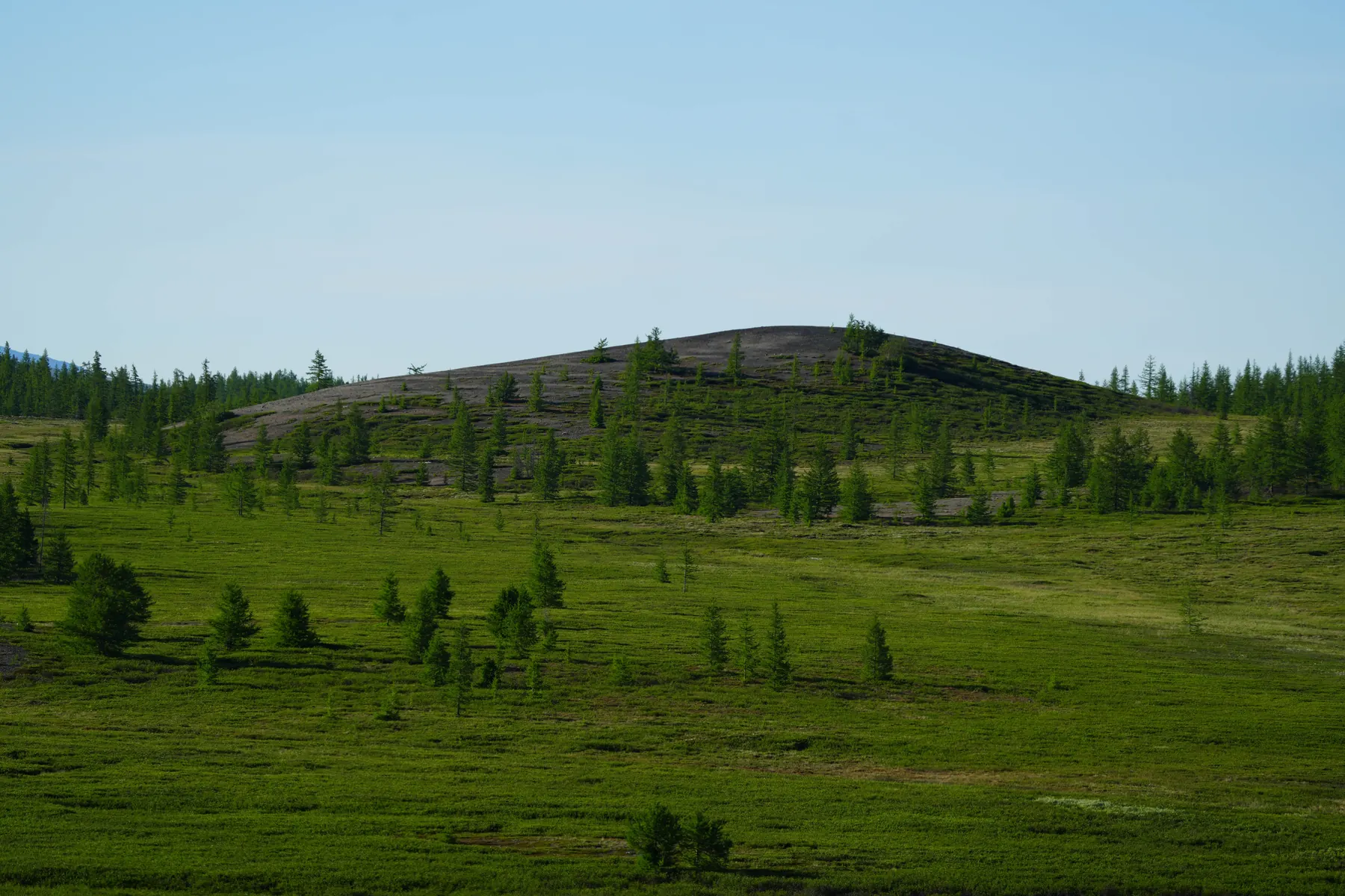 Охота на дичь